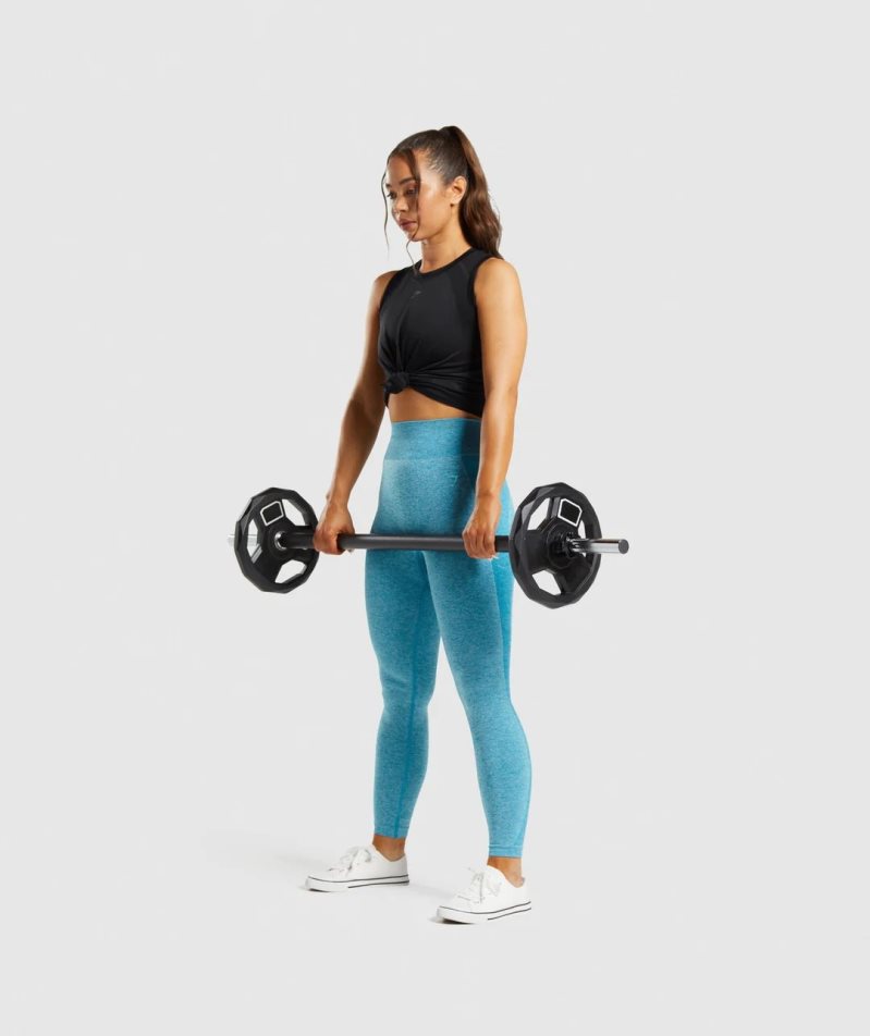 Women's Gymshark Flex High Waisted Leggings Blue | NZ 8YDXAW